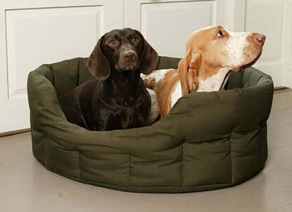 dog-friendly-holiday-cottage-two-dogs-in-a-dog-bed
